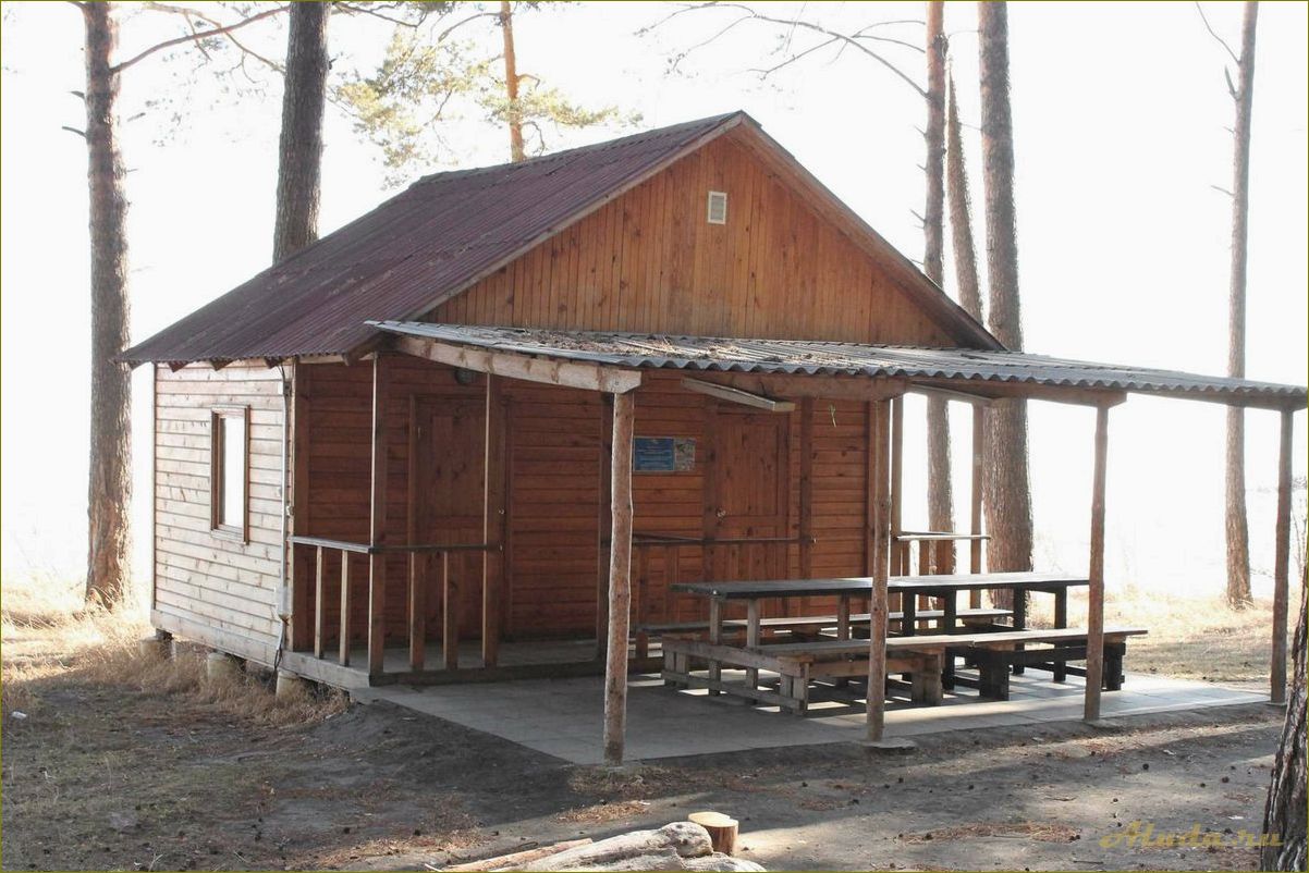 Снять домик на базе отдыха в Новосибирской области — идеальный способ провести незабываемый отпуск