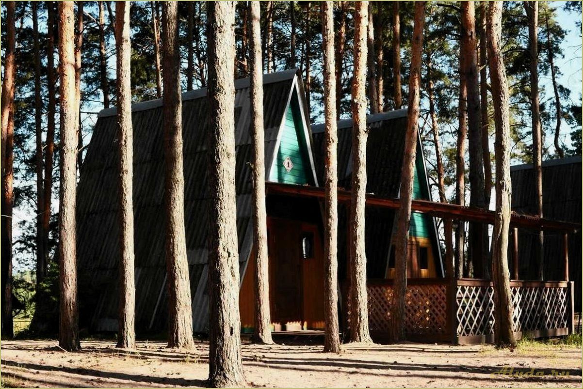 (тамбовская, область, база, отдыха, детьми) Тамбовская область база отдыха с детьми