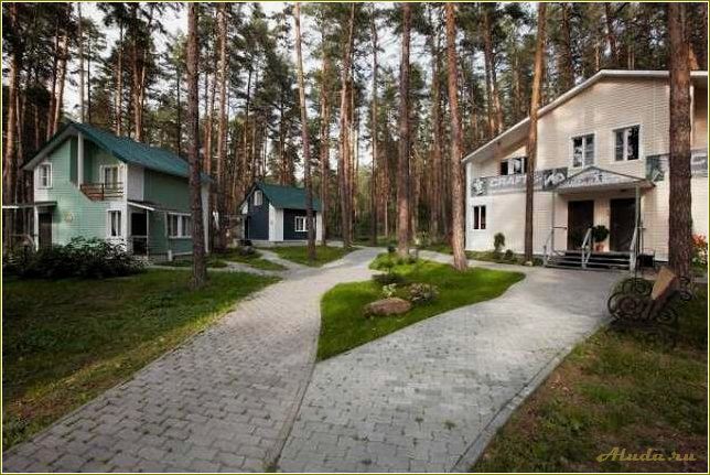 (тамбовская, область, база, отдыха, детьми) Тамбовская область база отдыха с детьми