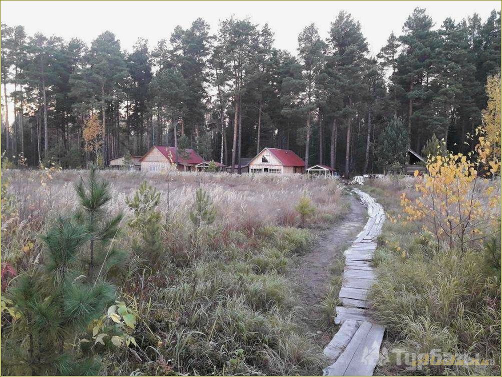 Томская область: базы отдыха летом