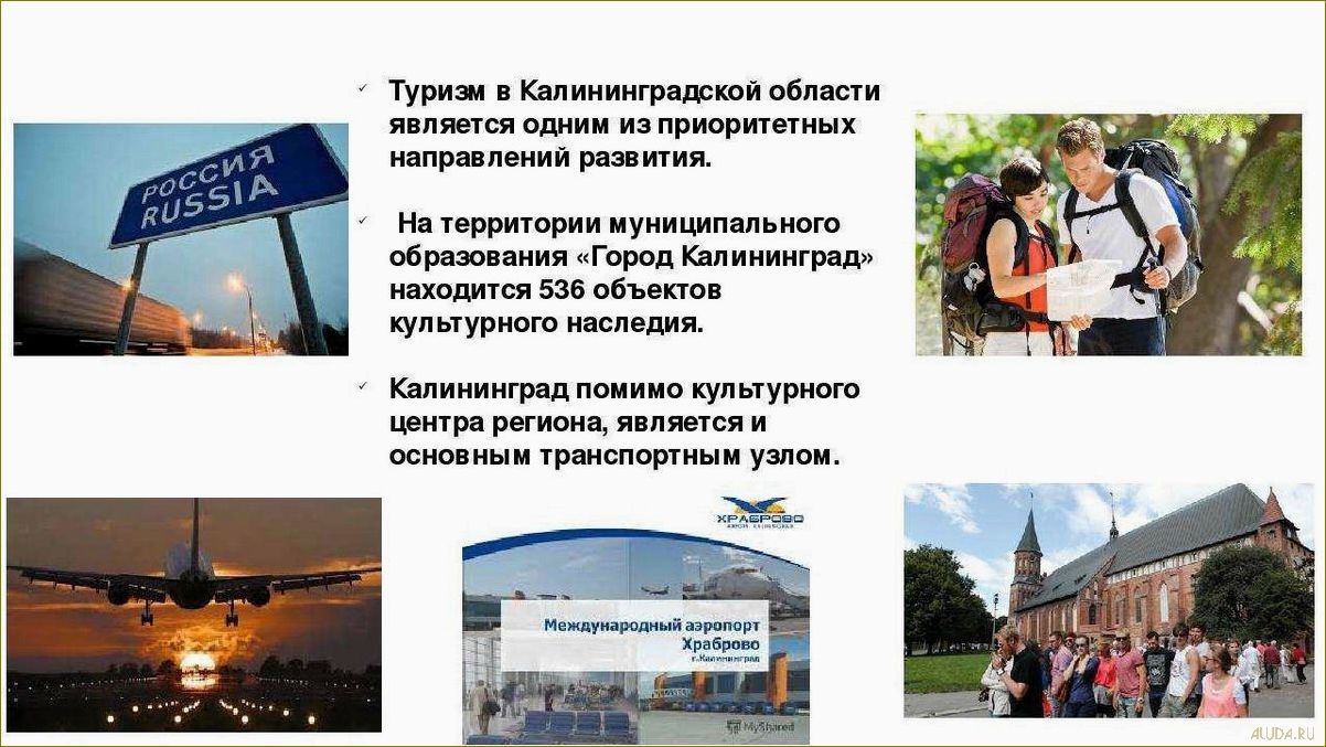 Разнообразие видов туризма в Калининградской области — от культурных экскурсий до активного отдыха на природе