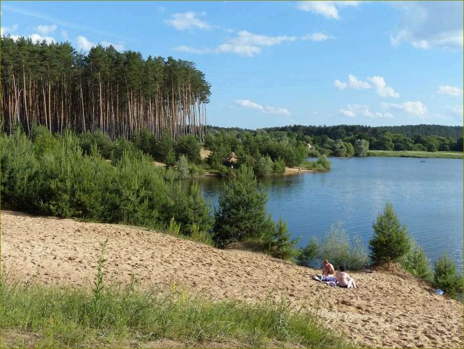 (лучшие, водоемы, владимирской, области, идеальные) Лучшие водоемы Владимирской области, идеальные для купания и отдыха с семьей и друзьями