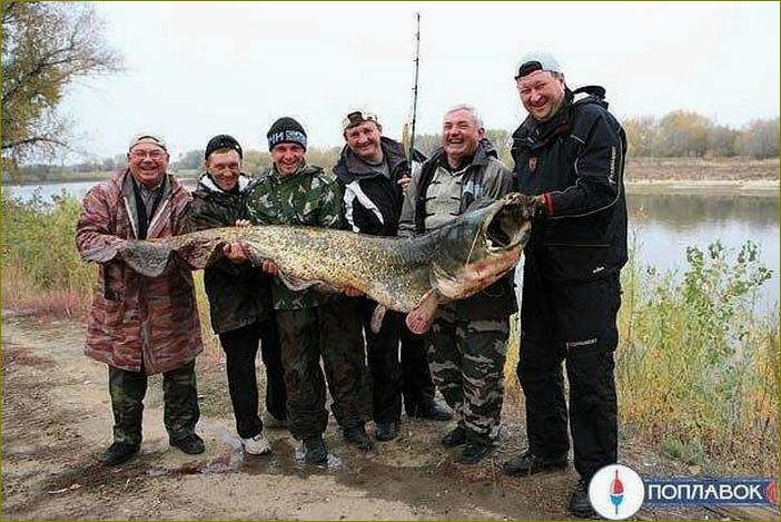 Воронежская область — уникальная база отдыха на поплавок, где можно насладиться природой и активными развлечениями