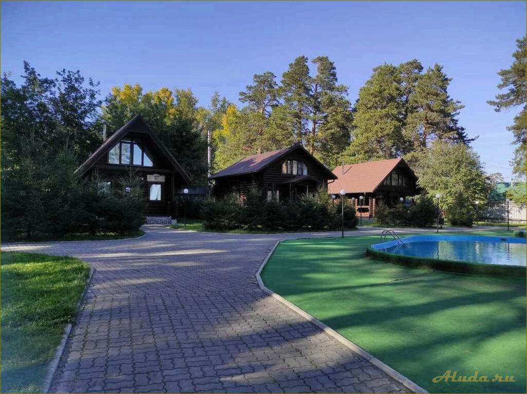 Лучшие базы отдыха в Новосибирской области для комфортного и незабываемого отдыха