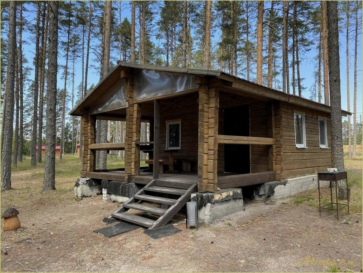 Лучшие базы отдыха в Псковской области — идеальное место для отдыха и релаксации