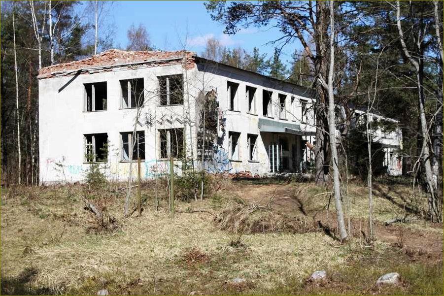 Уникальная база отдыха в Ленинградской области — наслаждайтесь прекрасными пейзажами и комфортом в Лемболово!