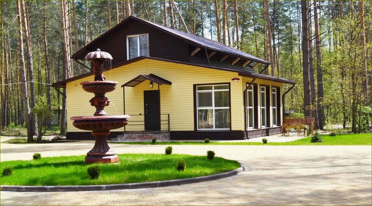 Отдых в комфортабельных домиках базы отдыха в прекрасной Брянской области — идеальный способ расслабиться и насладиться природой