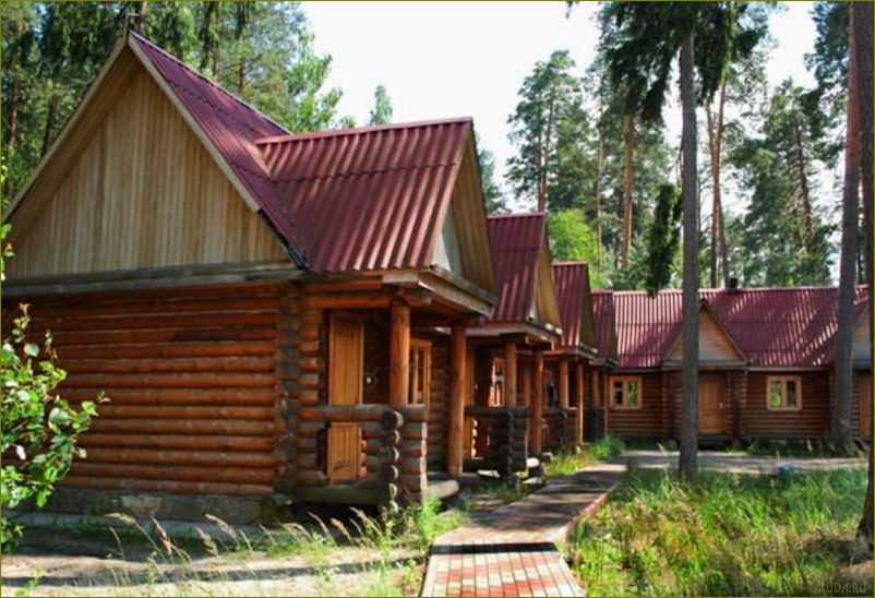 Отдых в комфортабельных домиках базы отдыха в прекрасной Брянской области — идеальный способ расслабиться и насладиться природой