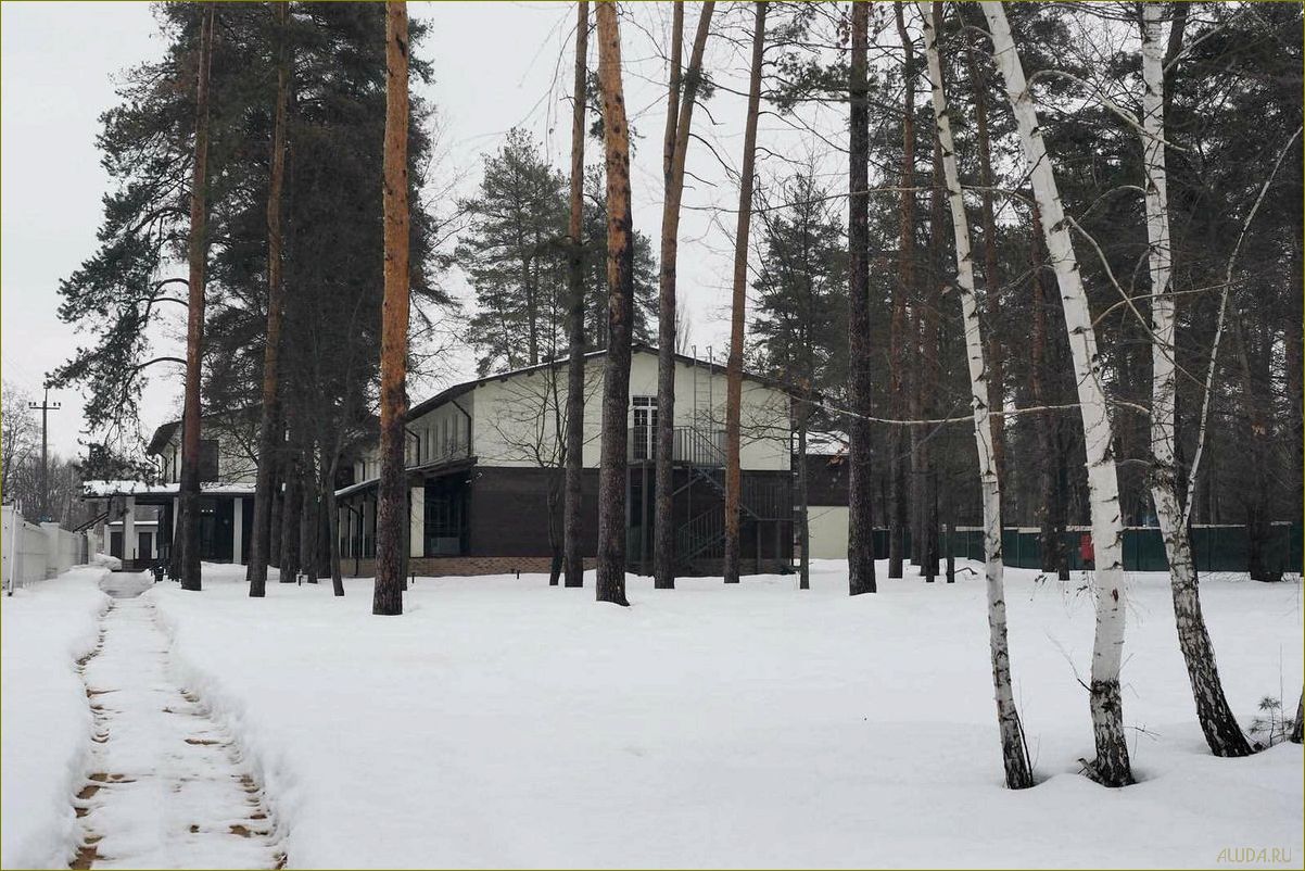 Икорец — идеальное место для отдыха в Воронежской области, где можно насладиться прекрасными пейзажами  