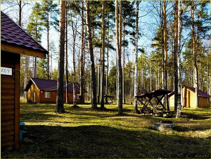 Кирилловское — идеальная база отдыха в Ленинградской области для полного релакса и наслаждения природой