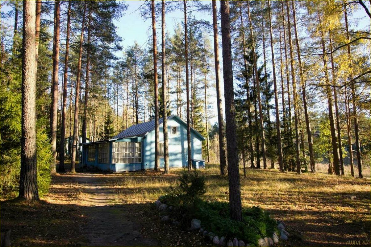 Кирилловское — идеальная база отдыха в Ленинградской области для полного релакса и наслаждения природой