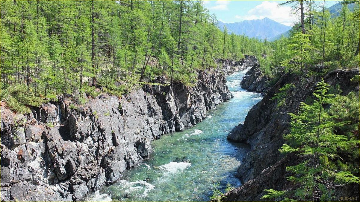 Магаданская область — рыбалка, охота, туризм — откройте для себя богатство природы и уникальные возможности активного отдыха 
