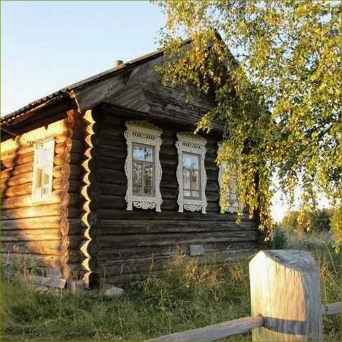 Марково Вологодская область база отдыха — идеальное место для релакса и приятного времяпрепровождения в окружении природы