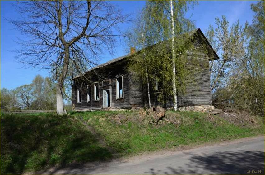 Норино — идеальная база отдыха в Брянской области для комфортного и разнообразного отдыха на природе