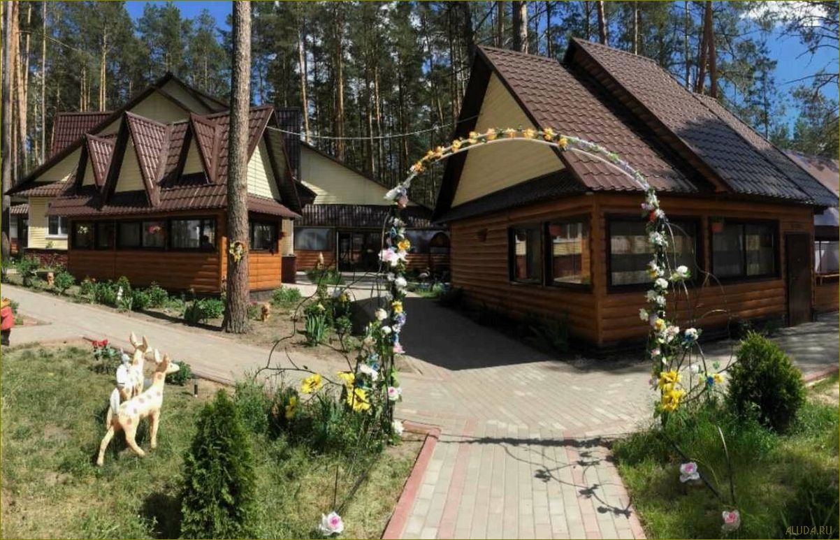 Норино — идеальная база отдыха в Брянской области для комфортного и разнообразного отдыха на природе