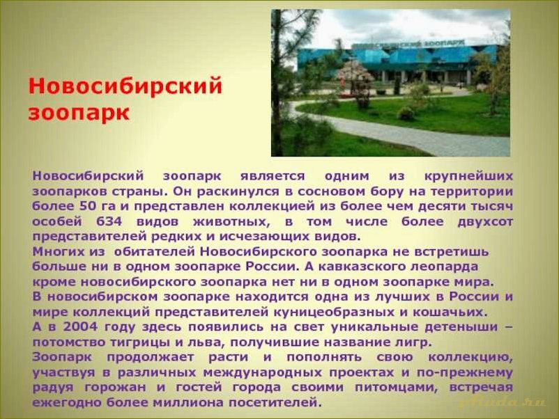 Удивительное зрелище природы — Чудеса новосибирской области, в которых невозможно не влюбиться!
