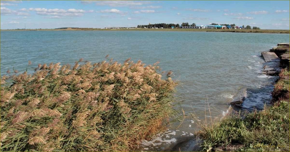Отдых на озере Чаны Новосибирской области — наслаждайтесь природой и дикарями