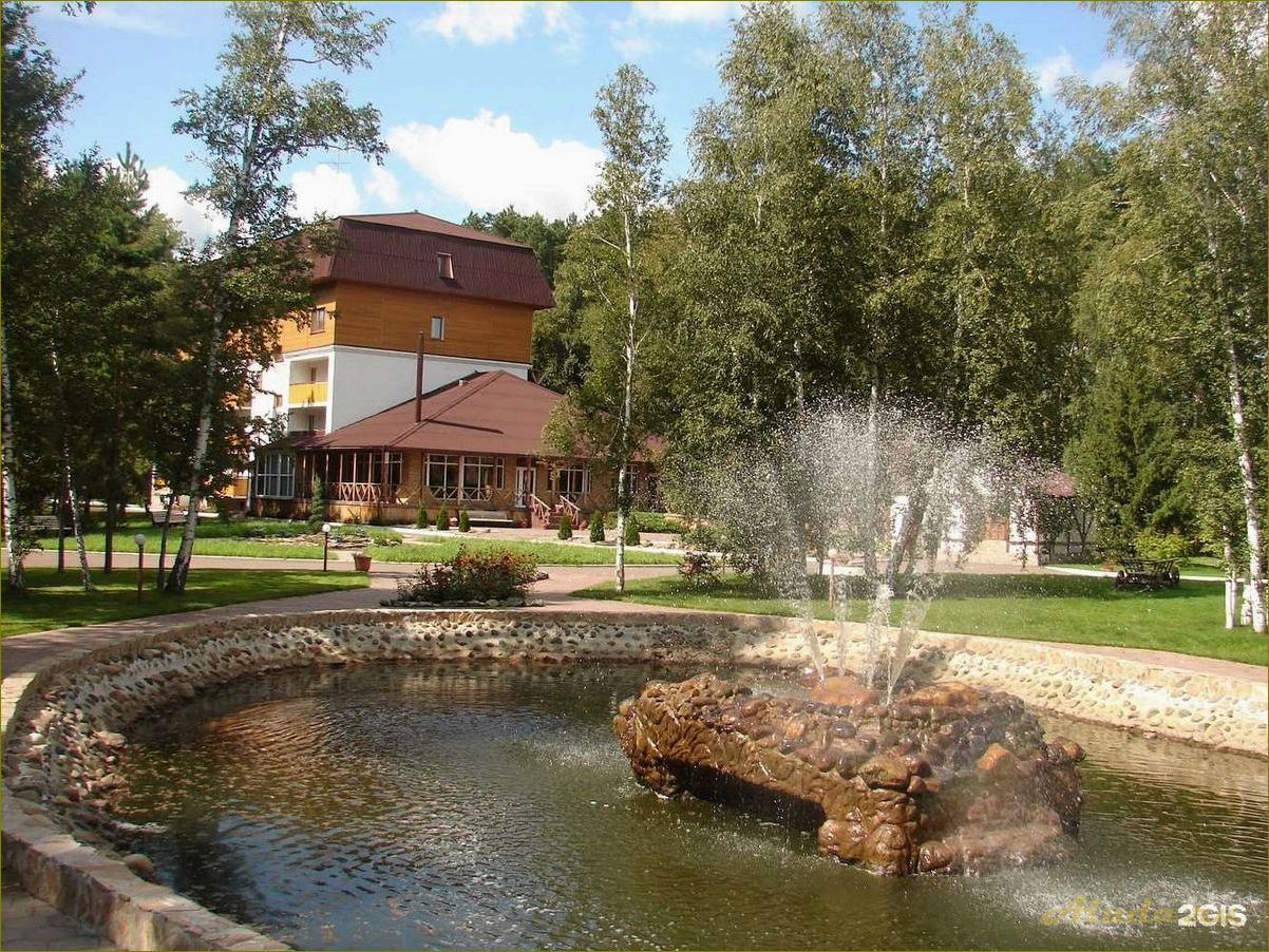 Отдых в Омской области — погружение в природу и уют серебряного бора