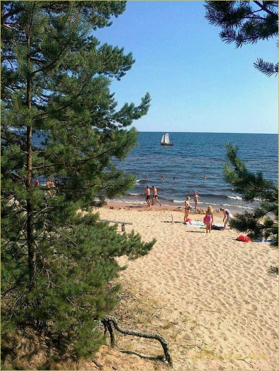 (отдых, палатками, чудском, озере, псковской) Отдых с палатками на Чудском озере Псковской области — лучшие места и советы для туристов