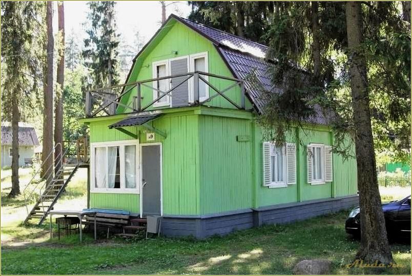 Отдых в Тверской области: лесная дача в окружении природы