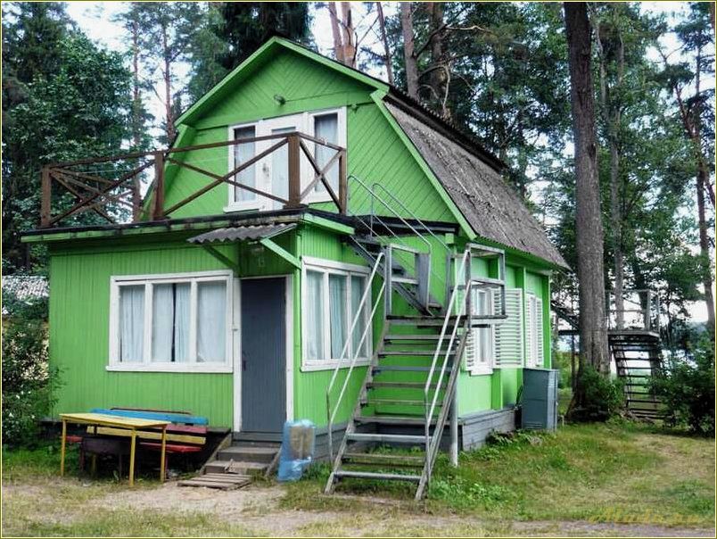 Отдых в Тверской области: лесная дача в окружении природы