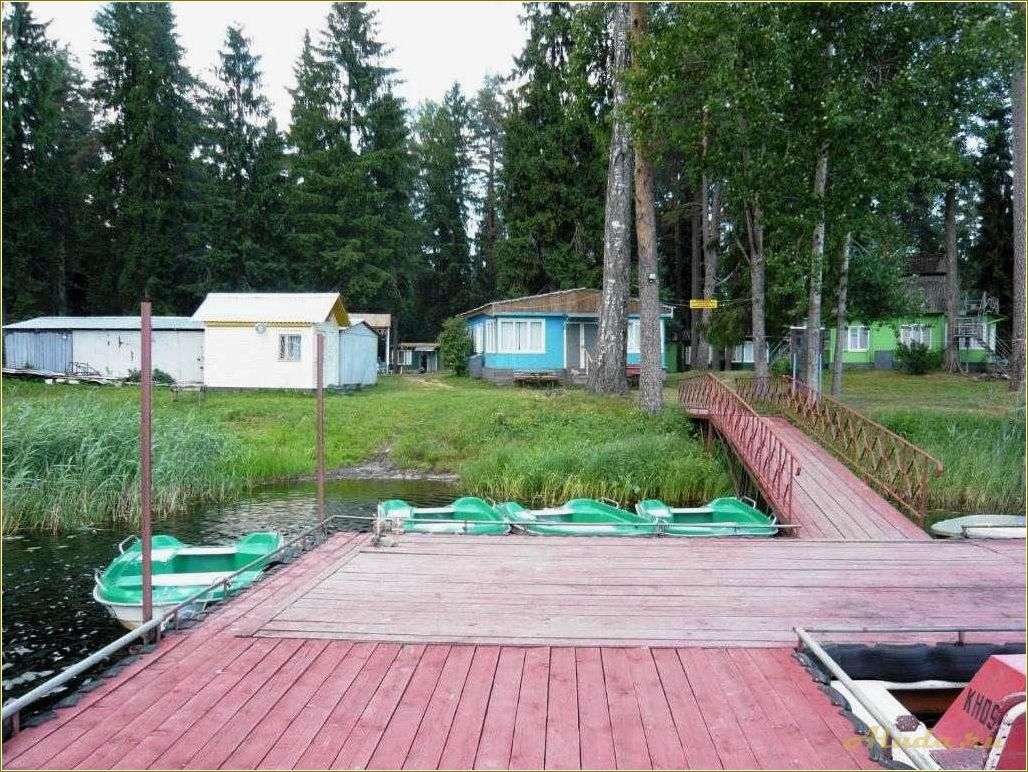 Отдых в Тверской области: лесная дача в окружении природы