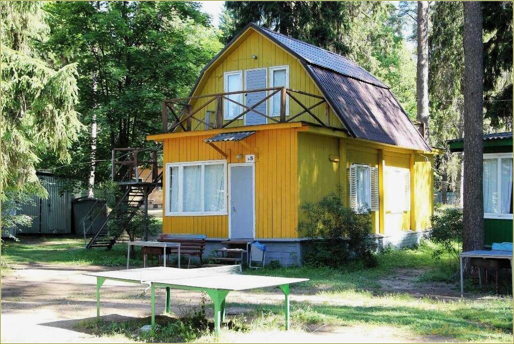 Отдых в Тверской области: лесная дача в окружении природы