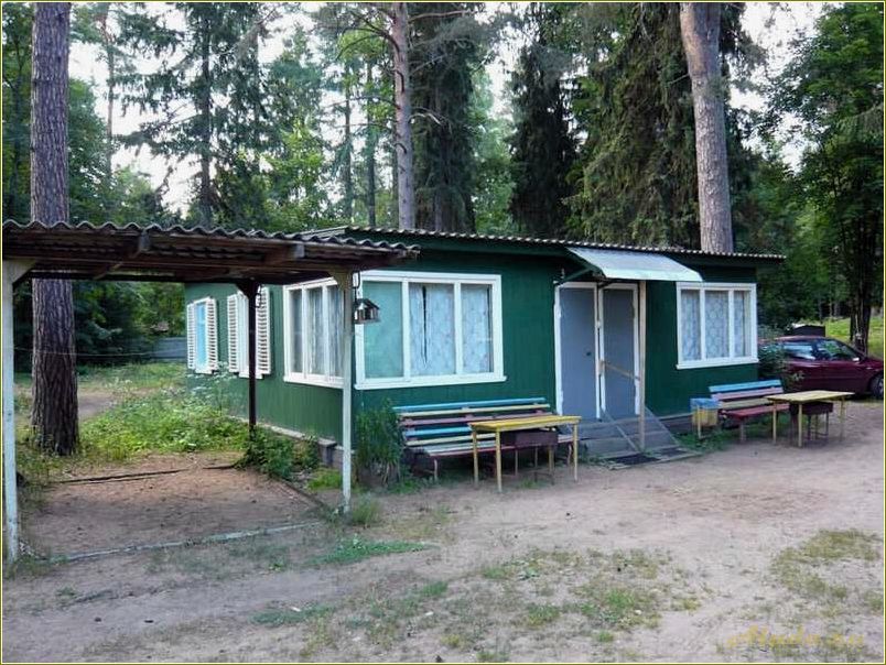 Отдых в Тверской области: лесная дача в окружении природы