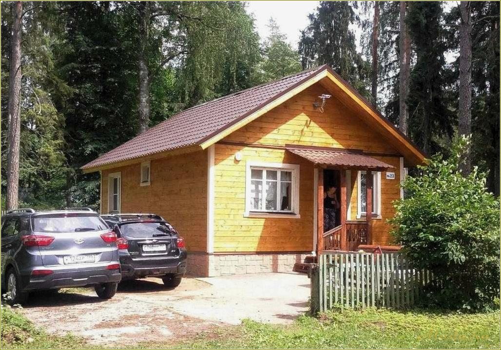 Отдых в Тверской области: лесная дача в окружении природы