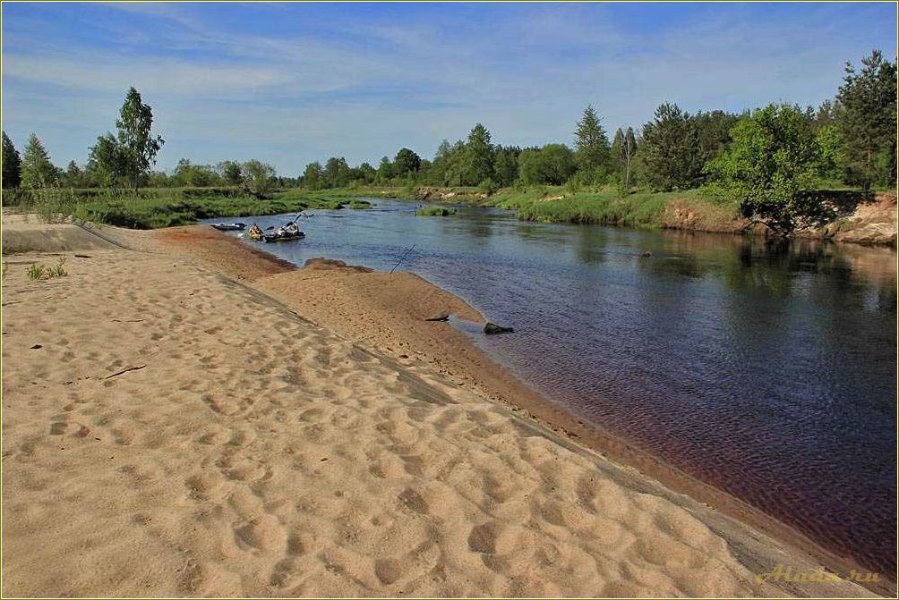 Отдых на реках пензенской области — лучшие места для отдыха на воде, рыбалки и пикников
