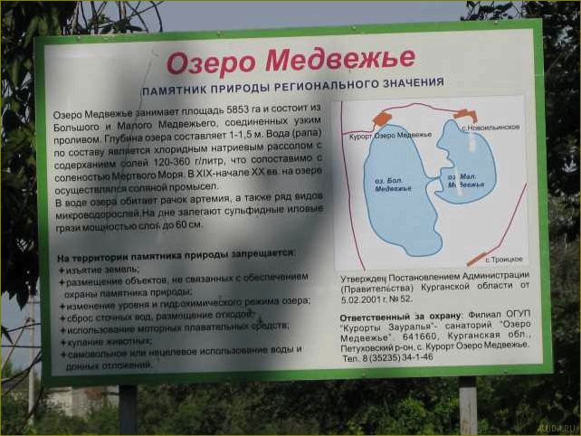 Отдых на озере Медвежье Курганская область — лучшие санатории, развлечения и природные красоты