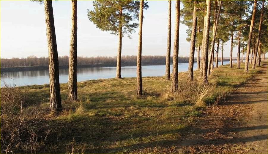 Отдых в Омской области — открытие Чернолучья и Красноярки