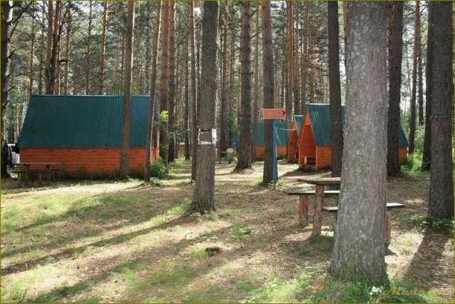 Отдых на озере Линево — идеальная база отдыха в Омской области