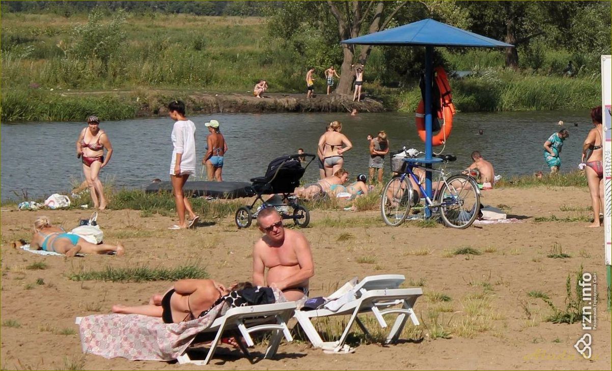 Природное озеро Старица в Новосибирской области — идеальное место для отдыха и релаксации