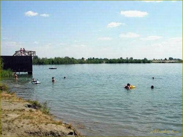 Природное озеро Старица в Новосибирской области — идеальное место для отдыха и релаксации