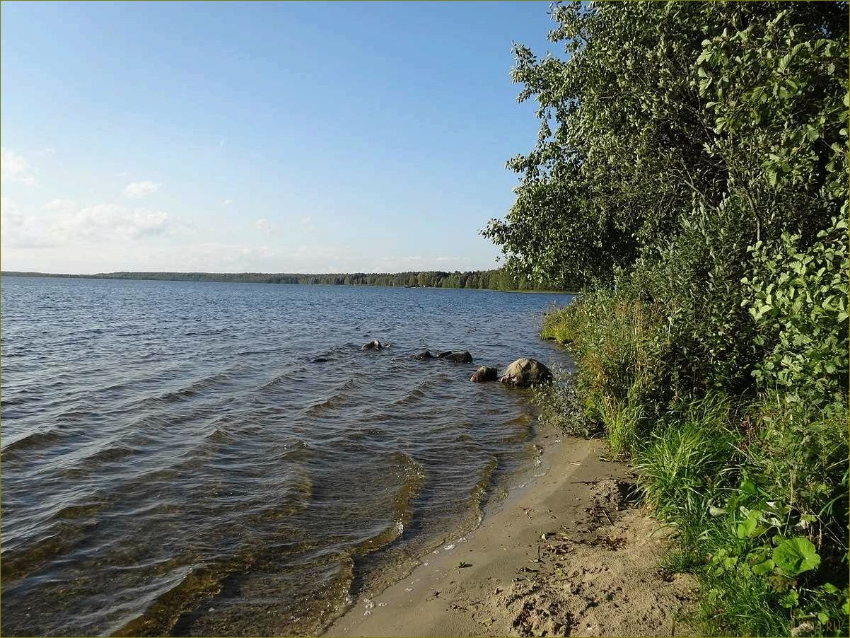 Идеальное место для отдыха на природе — волшебное озеро в Ивановской области, где можно насладиться дикой природой и полностью расслабиться