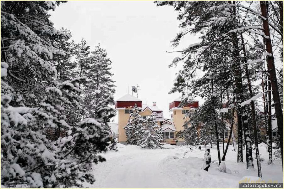 Лучшие пансионаты и базы отдыха в Псковской области — отдыхайте с комфортом и наслаждайтесь природой