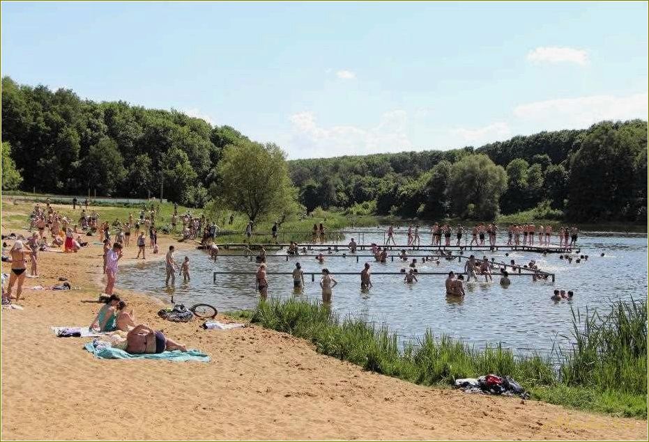 Пляжи Тульской области: отдых на берегу рек и водохранилищ