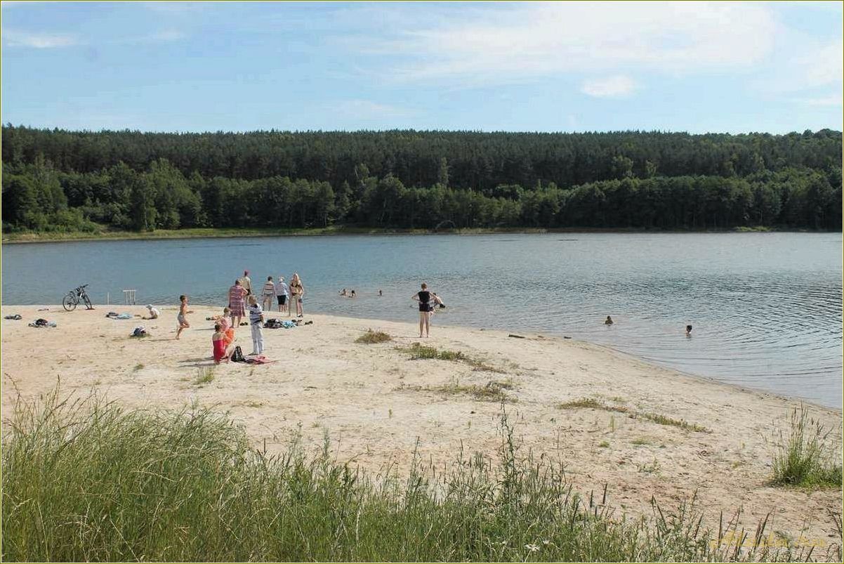 Пляжи Тульской области: отдых на берегу рек и водохранилищ