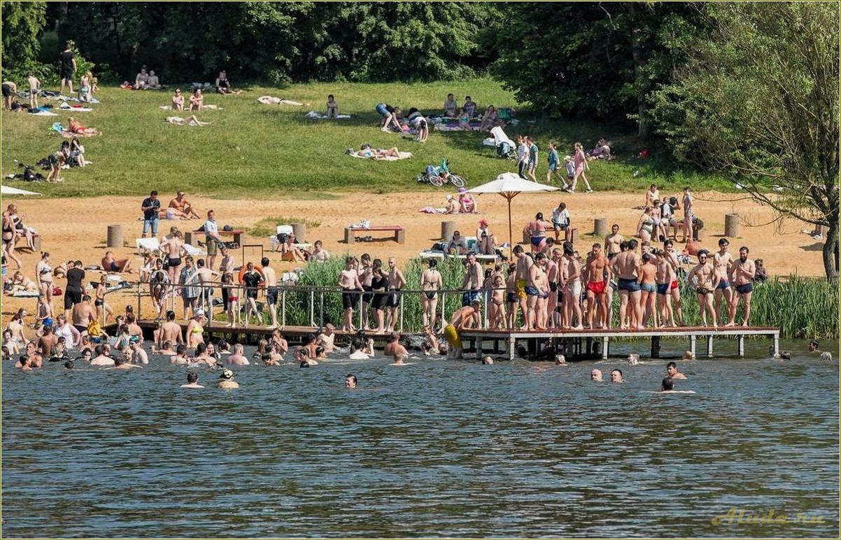 Пляжи Тульской области: отдых на берегу рек и водохранилищ