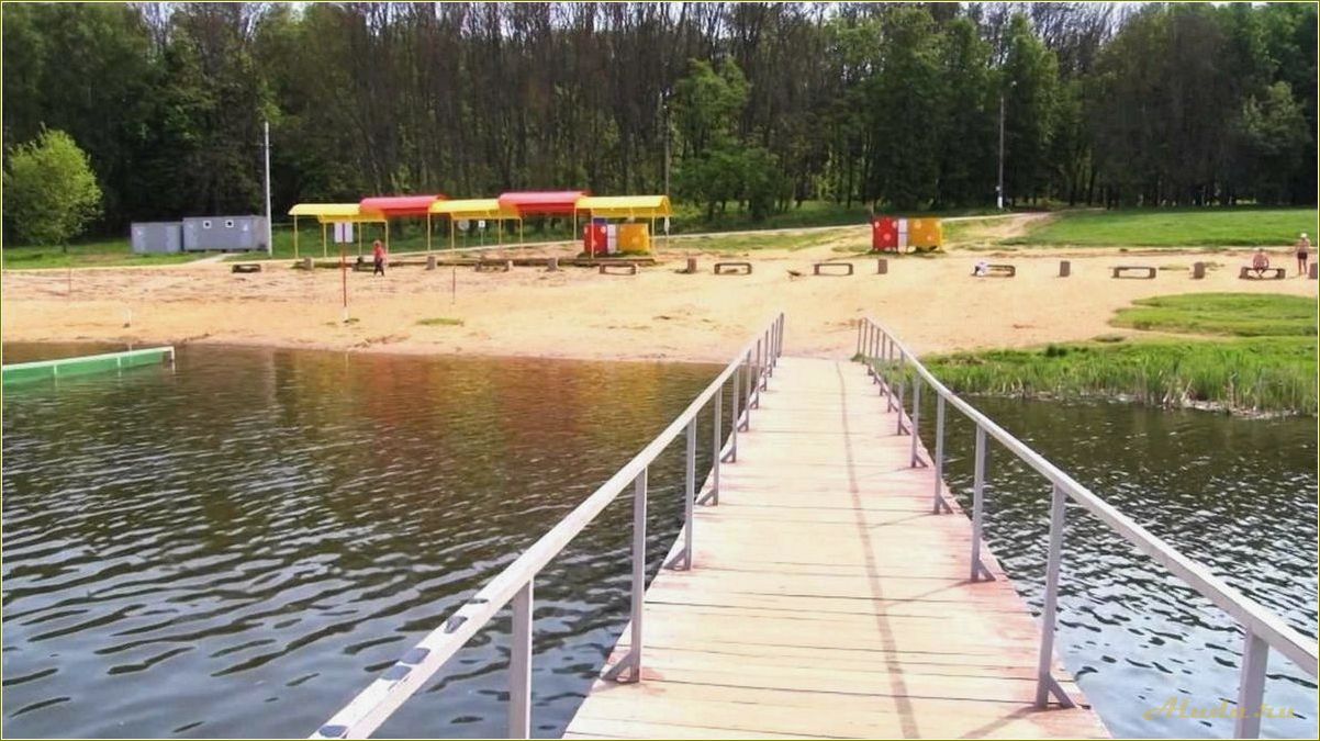Пляжи Тульской области: отдых на берегу рек и водохранилищ