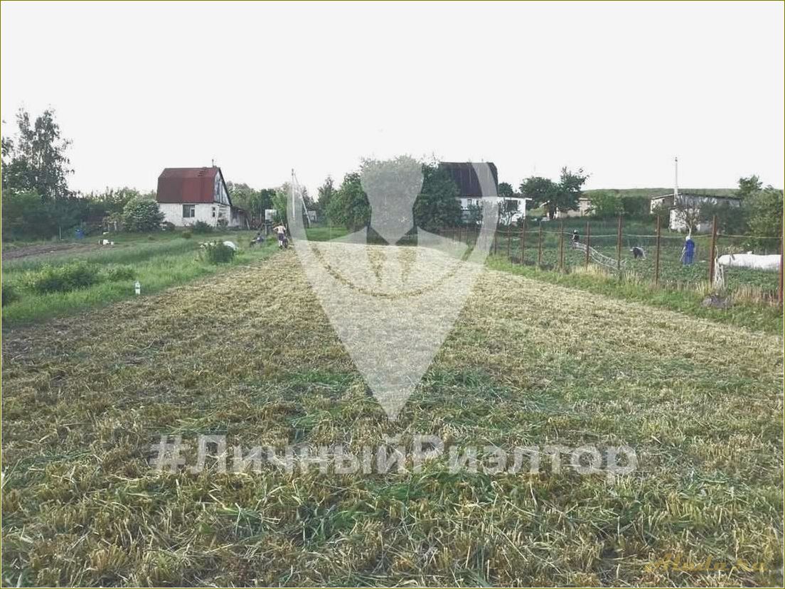 Приют рыбака в Рязанской области — отдых на базе отдыха в Шатрище