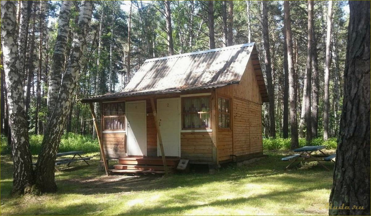 Путевки в дома отдыха новосибирской области — отличный отдых для всей семьи