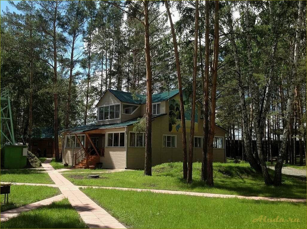 Путевки в дома отдыха новосибирской области — отличный отдых для всей семьи