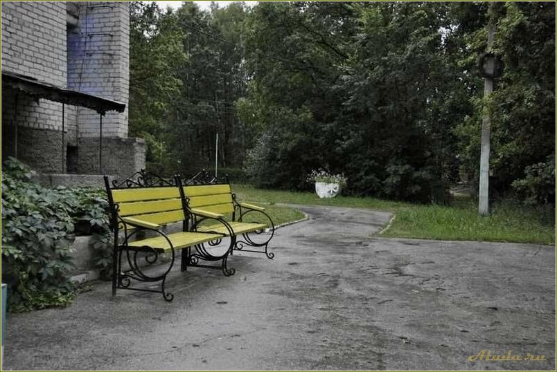 Россия Самарская область Сызранский район база отдыха Усинская
