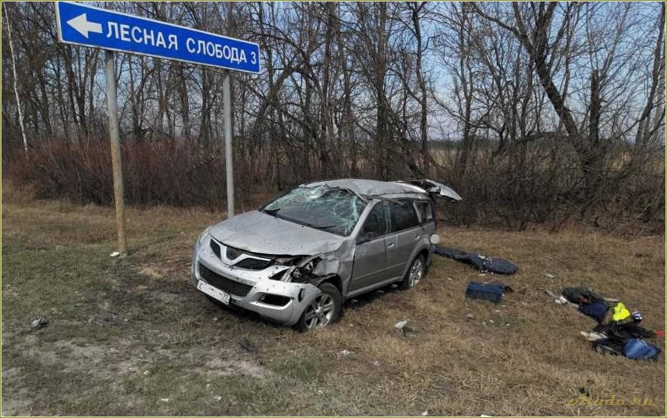 Шикарный отдых в Рязанской области — наслаждайтесь природой, отдыхайте в Шацке!