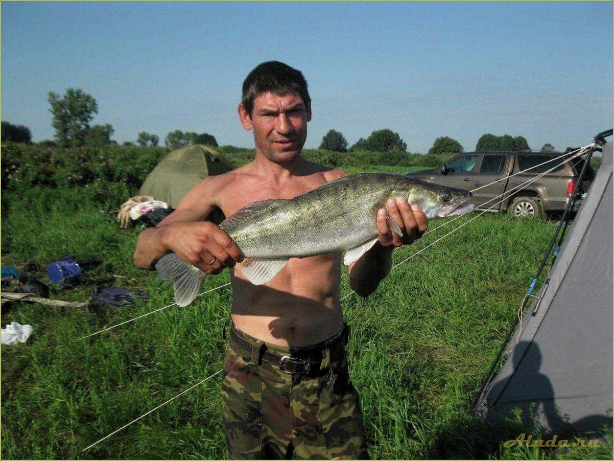 (рыбалка, базы, отдыха, рязанской, области) Рыбалка на оке базы отдыха в Рязанской области — лучшие места, советы и рекомендации для удачного отдыха