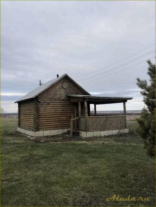 Село Серебряное в Омской области — идеальная база отдыха для всех