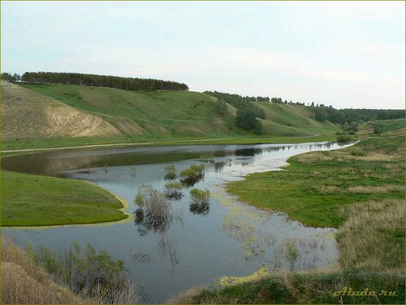Село Серебряное в Омской области — идеальная база отдыха для всех
