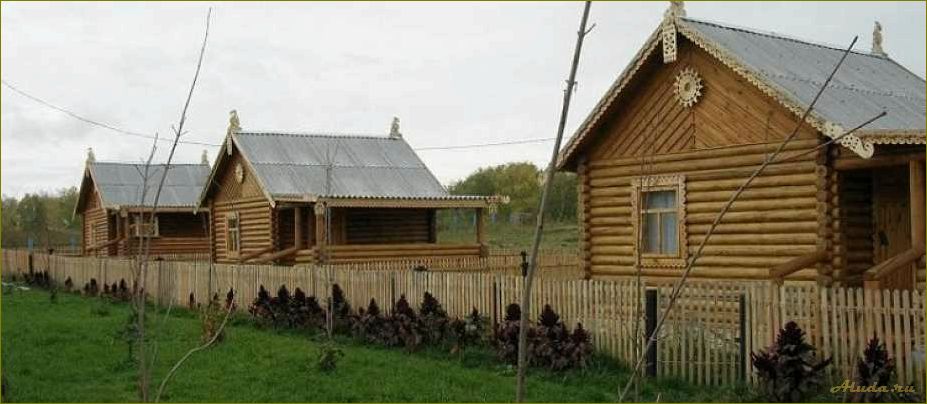 Село Серебряное в Омской области — идеальная база отдыха для всех